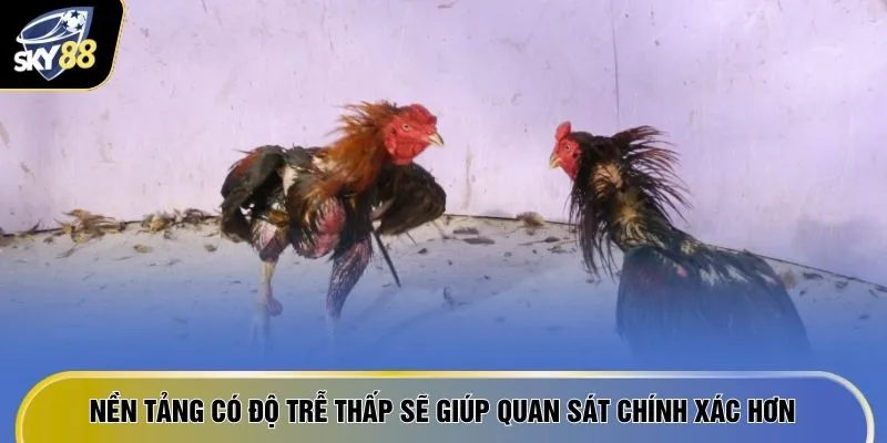 Top 5 Sảnh Đá Gà Uy Tín SKY88 - Càng Chơi Càng Ra Tiền 3 Nền tảng có độ trễ thấp sẽ giúp quan sát chính xác hơn